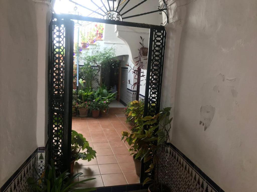 Antonio Ureba 9 Appartement Conil De La Frontera Buitenkant foto